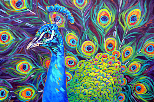 ★Original ART  ‘Peacock’ Peacock Art | Sally C. Evans Fine Art