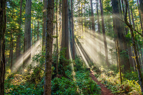 Follow the light new 2 vrekd0