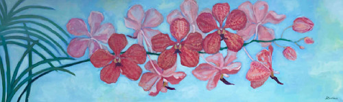 Mokara in bloom aqtvj3
