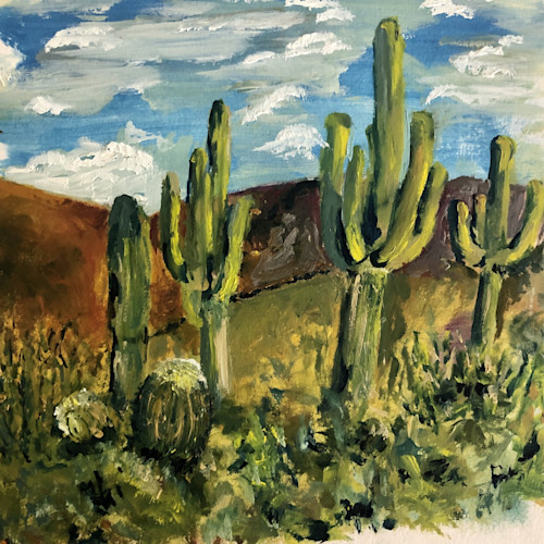 Saguaros in the desert   print vg4v21