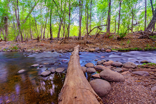 Nature shot at park in sedona arizona morpmm