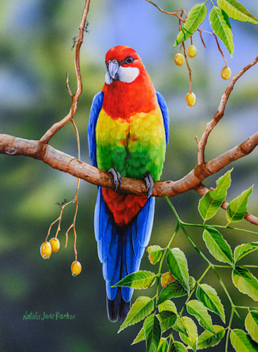 ジョアン・フックJOANNE HOOK 「CRIMSON ROSELLAS」 Pair of Jo Anne Hook Signed and Numbered Serigraphs