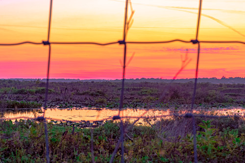 Fenced swampland at paynes prairie gainesville fl vcqafx