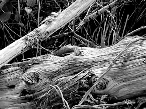 Texture play 1 f6zsr6