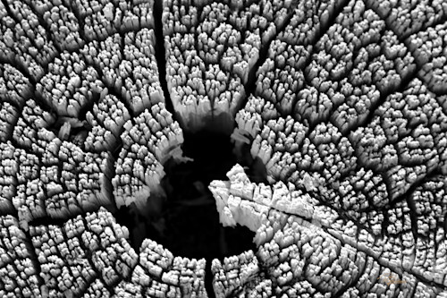 Textures round jc5y1e