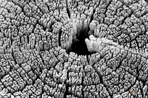 Textures maze zagkvo