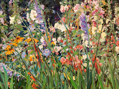 Garden gladiolus juamvm