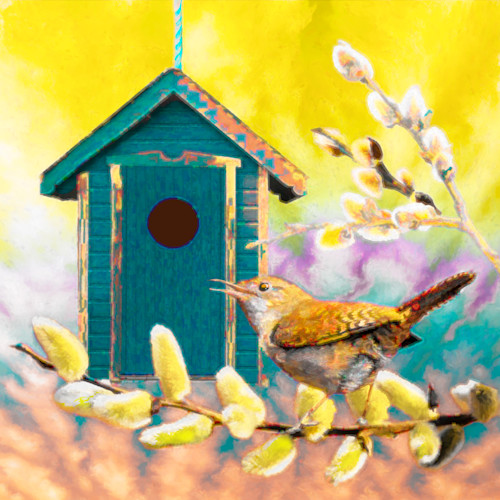 Housewren qyjvac