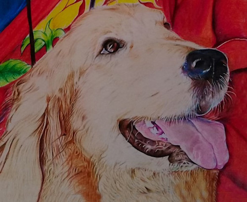 Dog fragment bhakti rr 0985 gu6geh