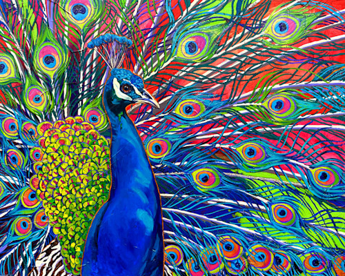 Peacock Art | Sally C. Evans Fine Art