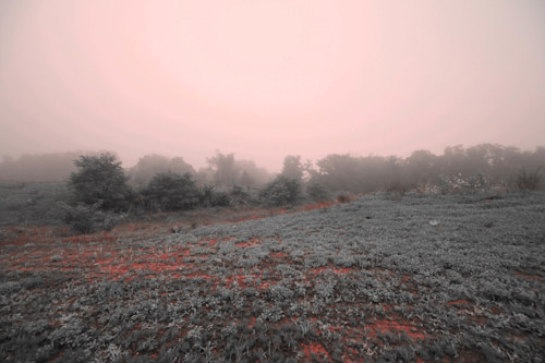 Infrared 2033.lg ovqdsn