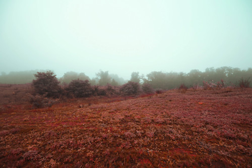 Infrared 2032.lg rnz4ny