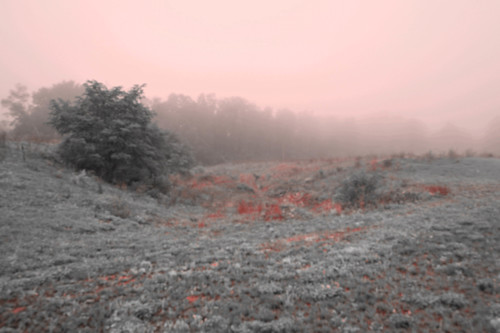 Infrared 2040.lg oylos1