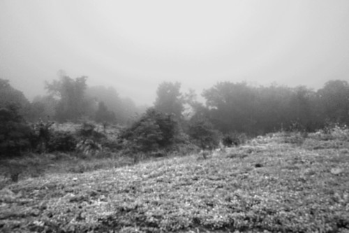 Infrared 2050.bw.lg hnvmoo