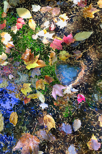 Heart of autumn s3h7ge