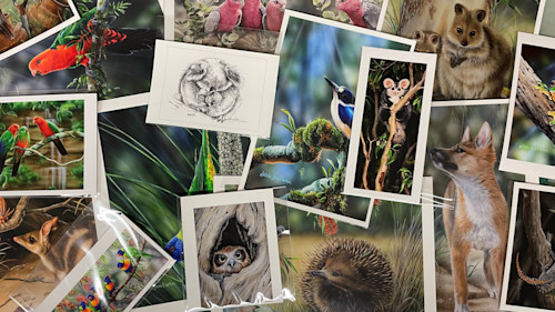 Img 5972 t5i3ty eijjfp