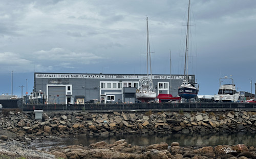 Monterrey breakwater cove marina rwalcy