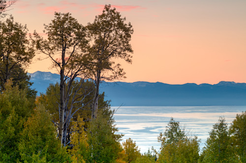 Aspens above lake tahoe 6 cd7e72