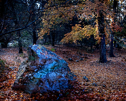 Lost maples landmark sf2xyo