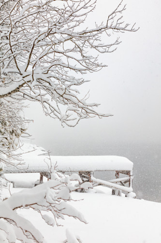 Snowy donner lake 4 lcaxjy