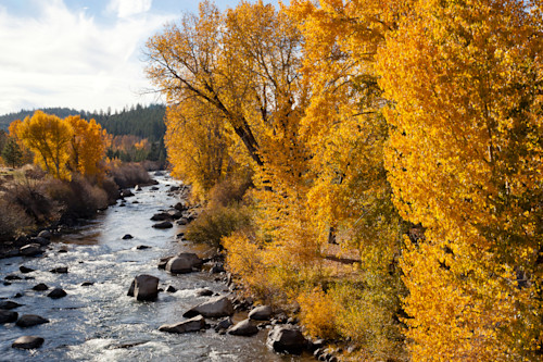 Truckee river in autumn 3 xxtpiw