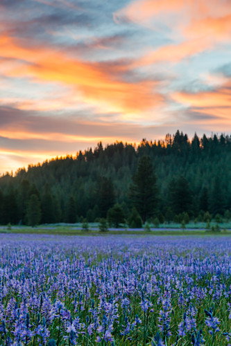 Sagehen meadows sunrise 2 r3s2vm
