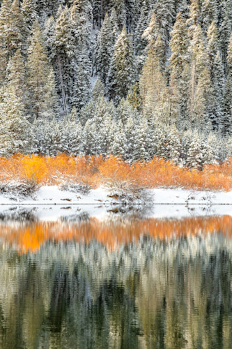 Snowy coldstream pond 8 cjyio4