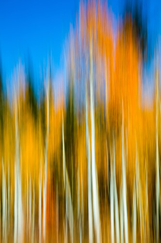 Autumn abstract 8 bej6jx