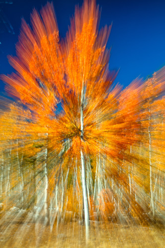 Autumn abstract 9 jy7mct