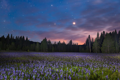 Sagehen meadow at night 1 hx3cyj