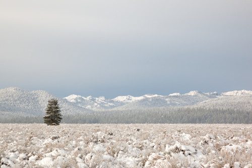 Snowy martis valley 4 jk1vh8