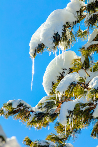 Icicles 4 x0lzlg