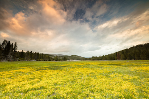 Sagehen meadows sunset 1 yjqzbe