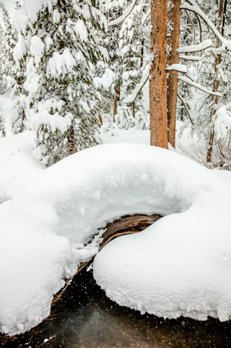 Snowy alder creek 4 mhekpb