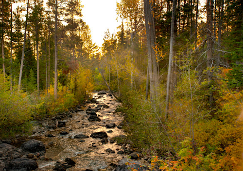 Out of his heart will flow rivers of living water. hslkkv