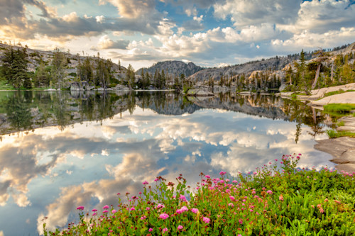 Wildflowers at paradise lake 2 juxpe7