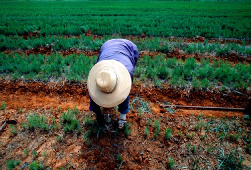 Heart of america xbxcte