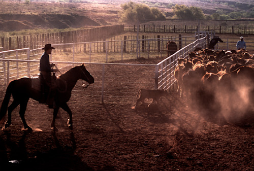 Texas ranching ejtmub