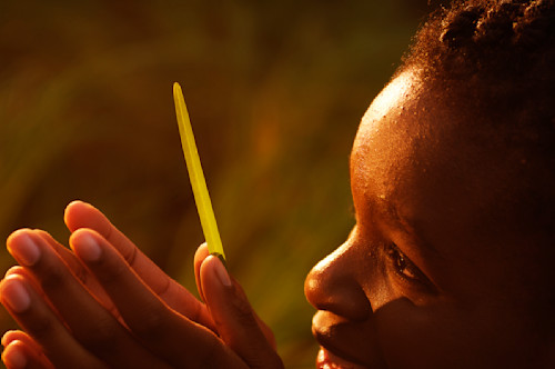 Grass whistler drjfdf