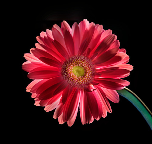 Captivation lightpainted ytghcb