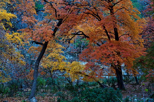 Crowns of glory shz1h2