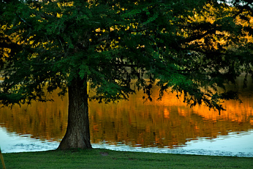 A cool calm place hwg6u6