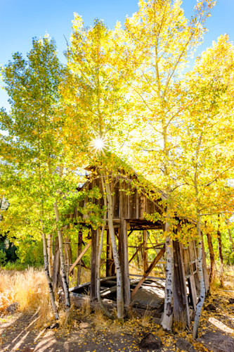 Shack in the aspens 9 eaeqca