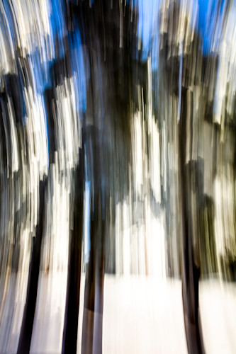 Snowy trees abstract 2 mmh83q