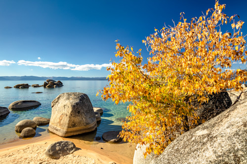 Whale beach in autumn 2 oapsje