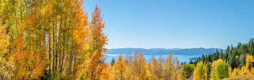 Aspens above lake tahoe 17 e1a3k5
