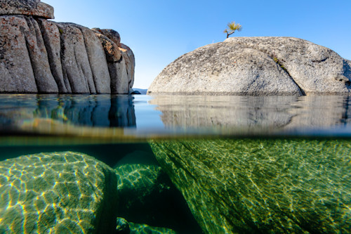 Bonsai tree on lake tahoe boulder 6 u5jo1w
