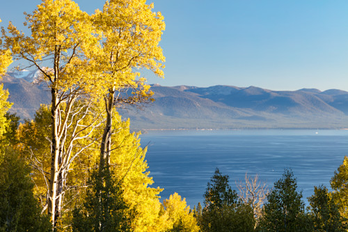 Aspens above lake tahoe 5 biwyso