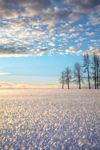 Snowy tahoe field 1 miqli5
