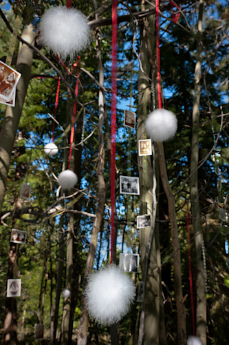 Trails and vistas 2011 9 hl9bts